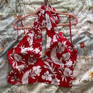 Express crop top, womens, NWT size large